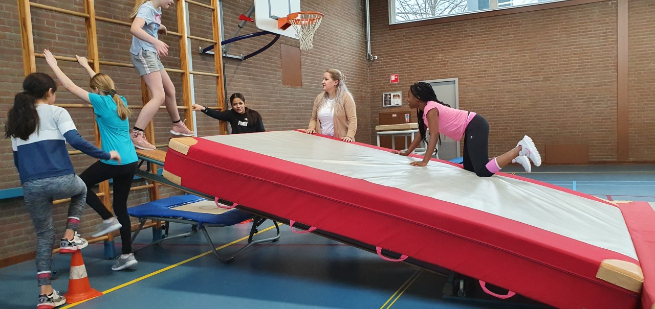 Eerlijk Cerebrum Systematisch Bewegingsonderwijs (gym) - Rietendakschool